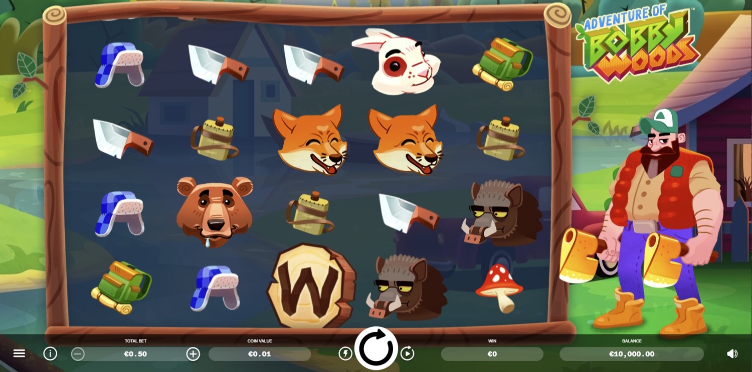 Adventure of Bobby Woods Gameplay Image