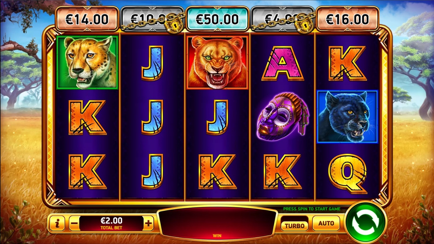 African Cats Gameplay Image