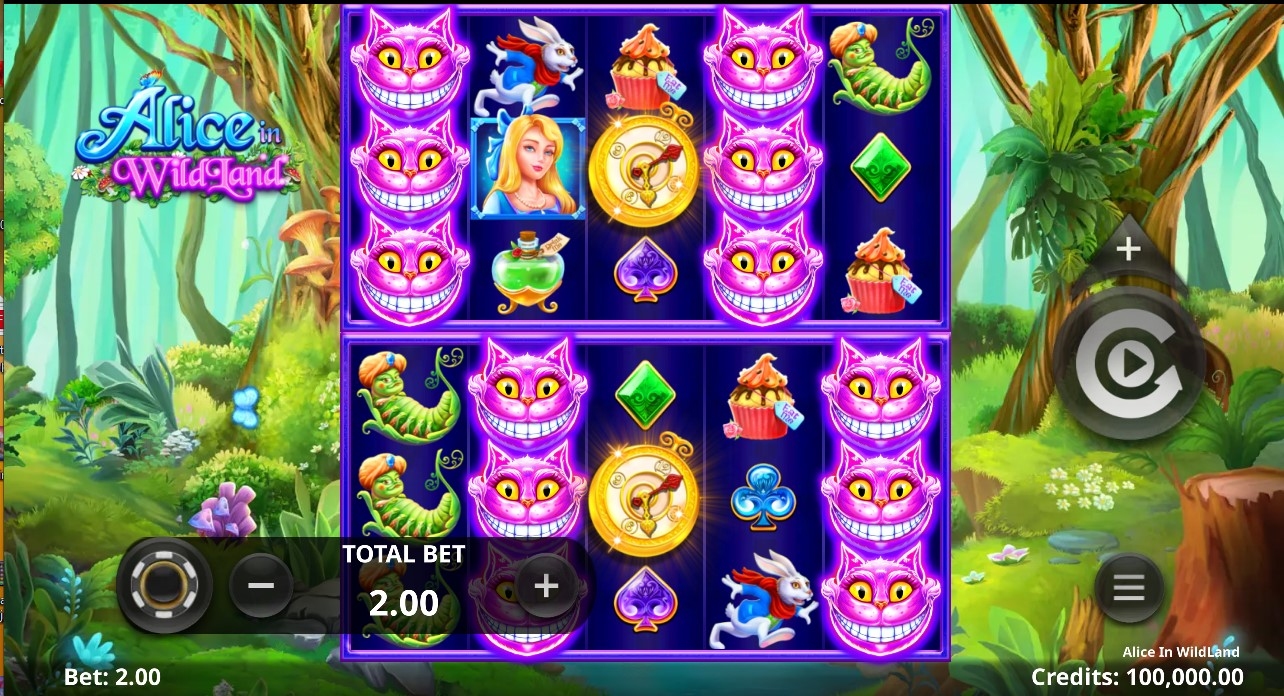 Alice in WildLand Gameplay Image