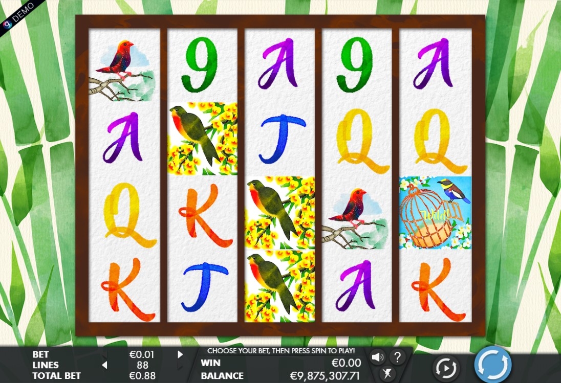 Birds Gameplay Image