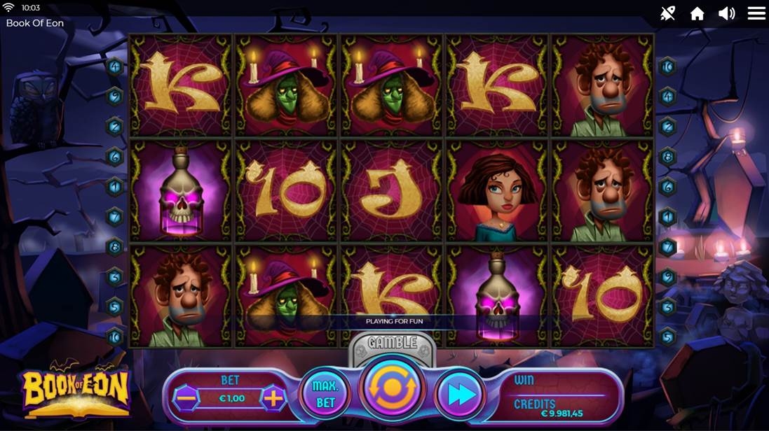 Book of Eon Gameplay Image