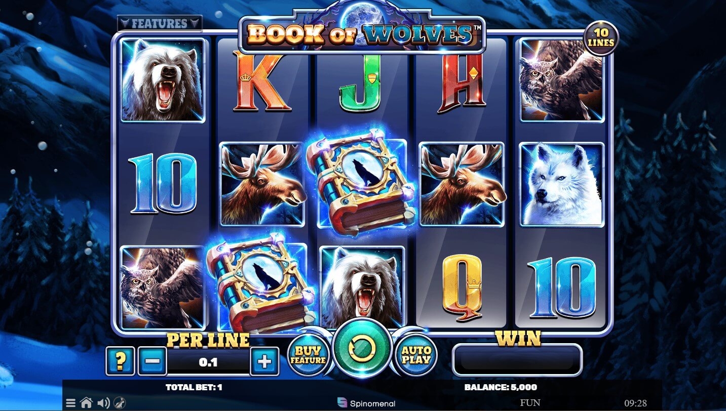 Book of Wolves Gameplay Image