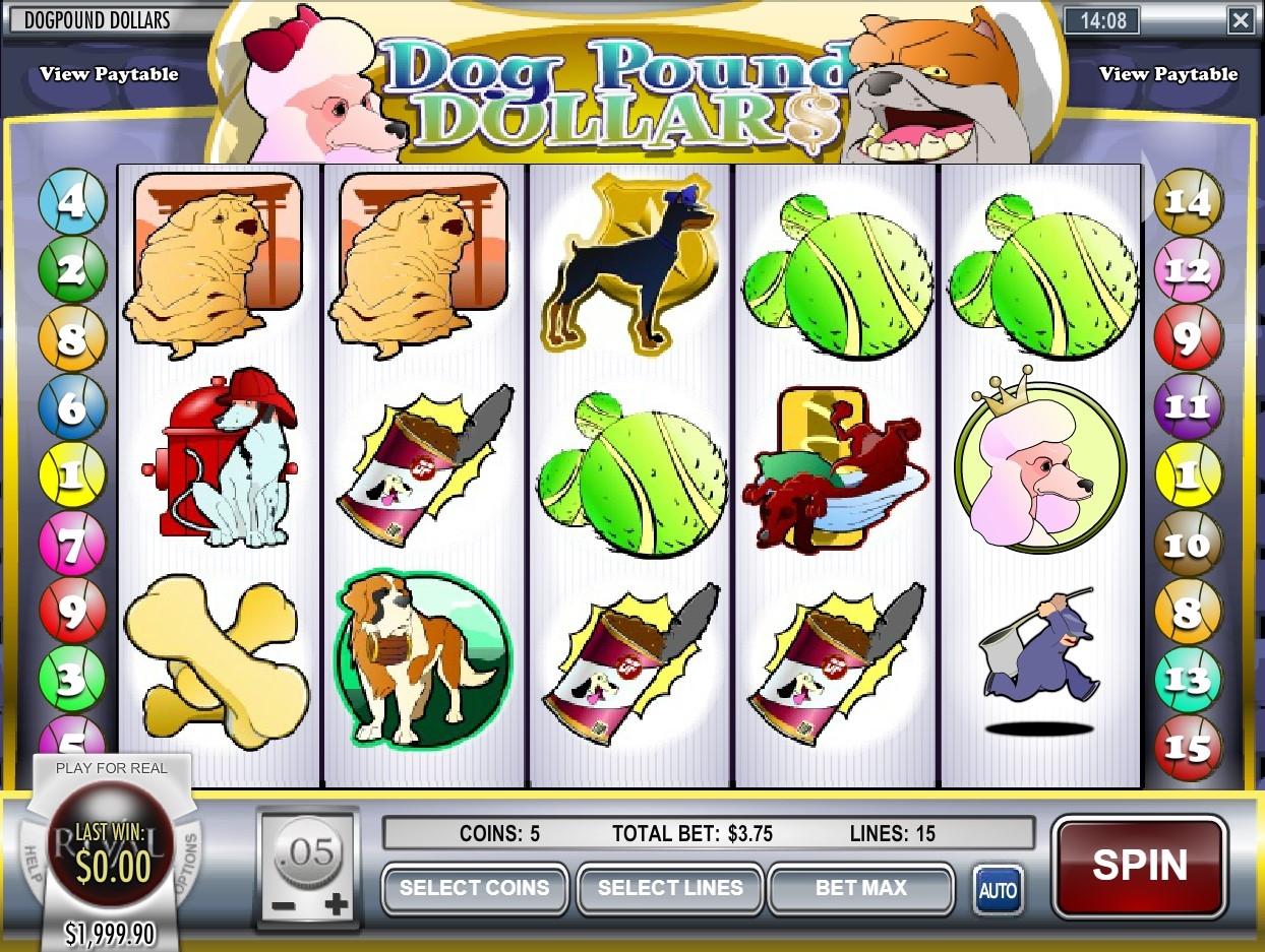 Dog Pound Dollars Gameplay Image