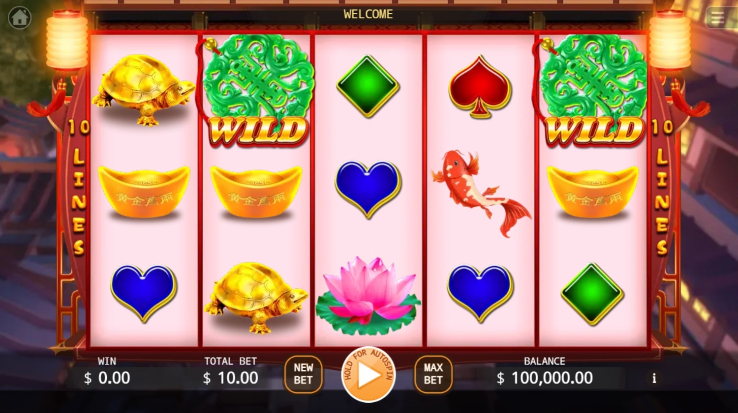 Double Fortune Gameplay Image