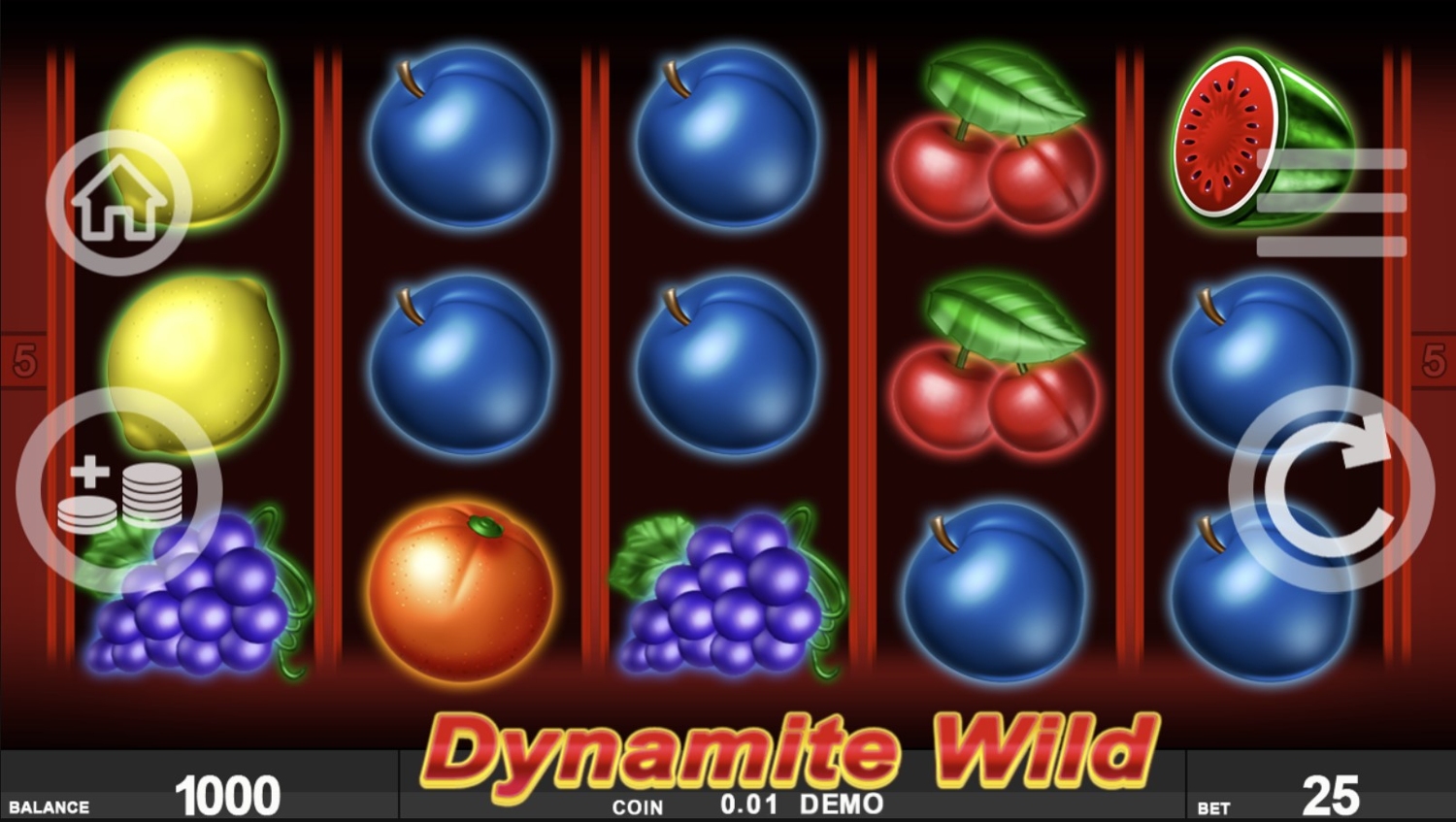 Dynamite Wild Gameplay Image