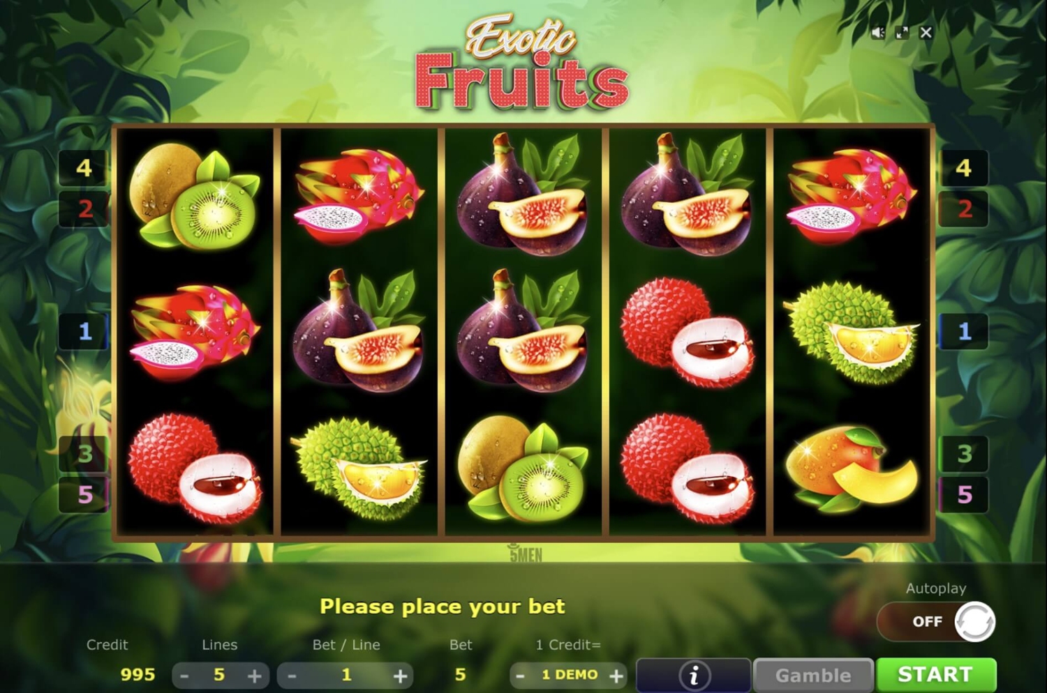 Exotic Fruits Gameplay Image