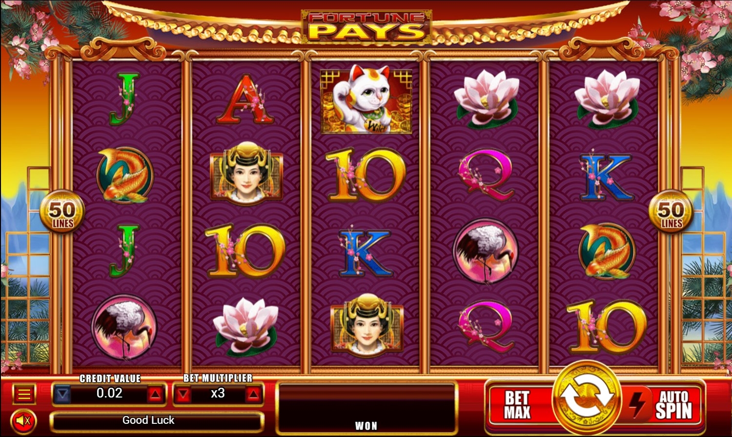 Fortune Pays Gameplay Image