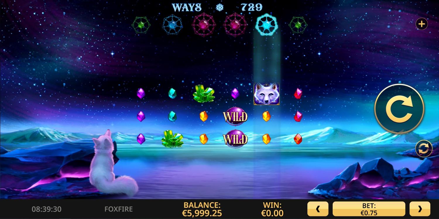 Fox Fire Gameplay Image
