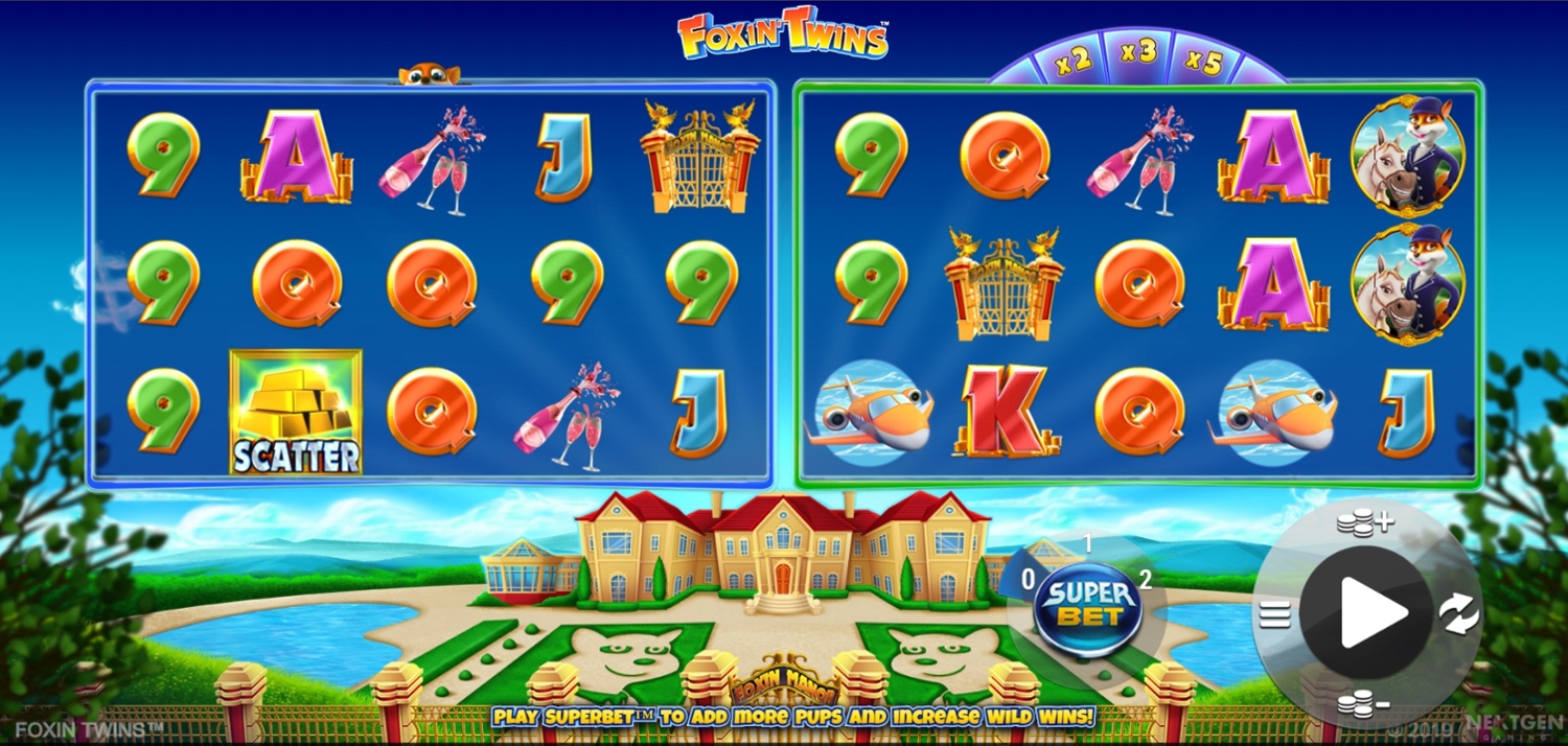 Foxin Twins Gameplay Image