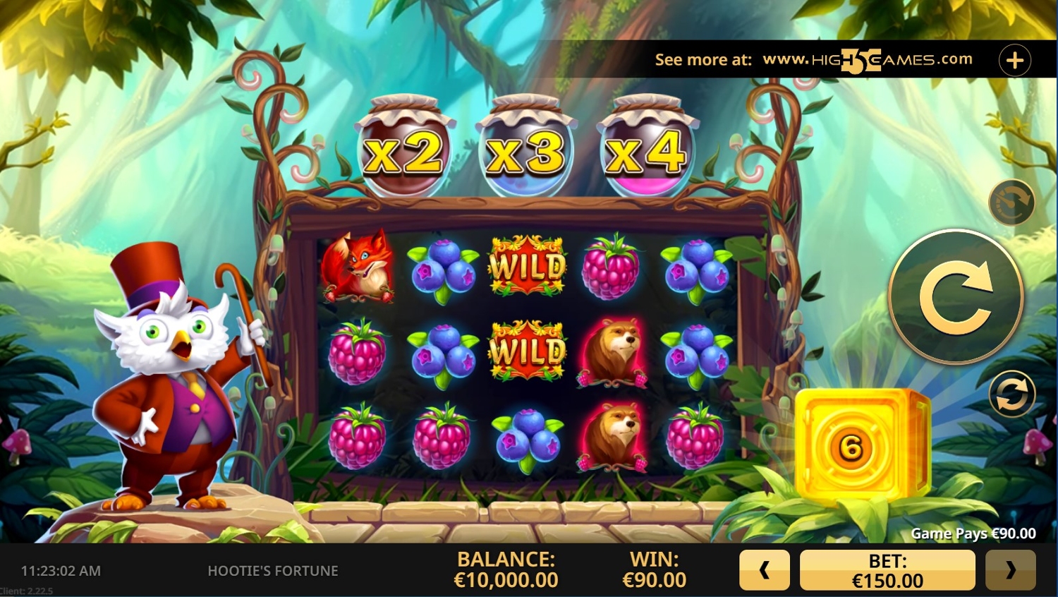 Hootie’s Fortune Gameplay Image