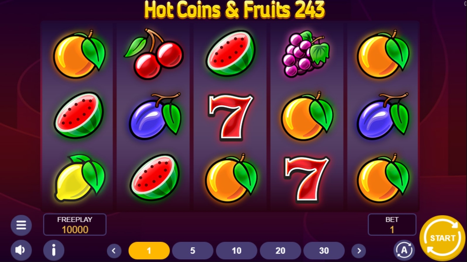 Hot Coins & Fruits 243 Gameplay Image