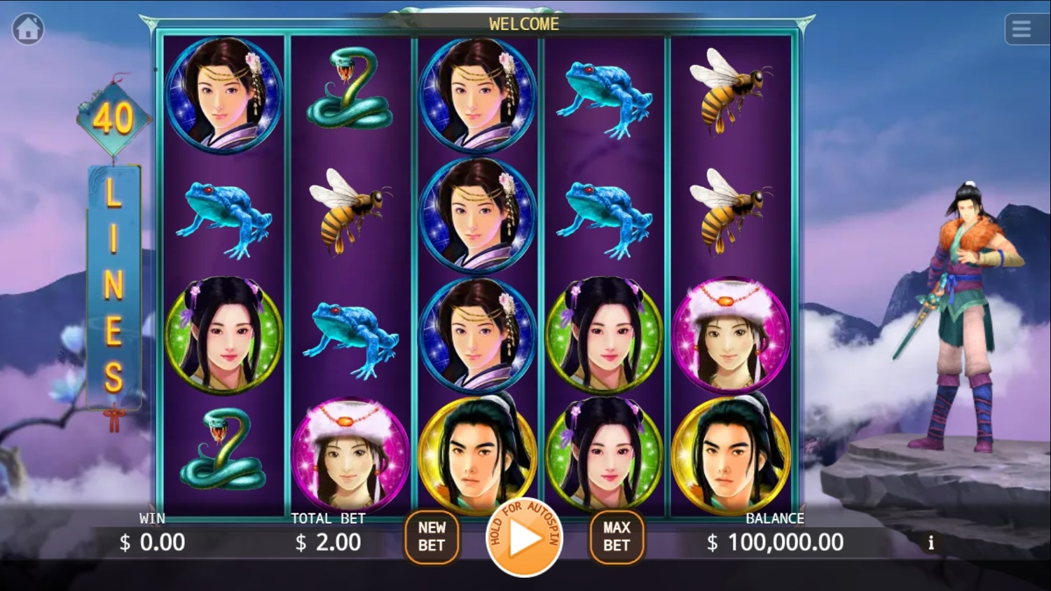 Legend of Paladin Gameplay Image