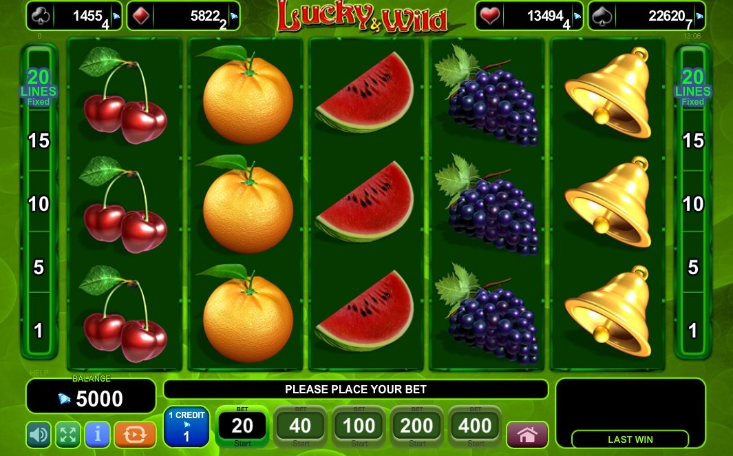 Lucky and Wild Gameplay Image