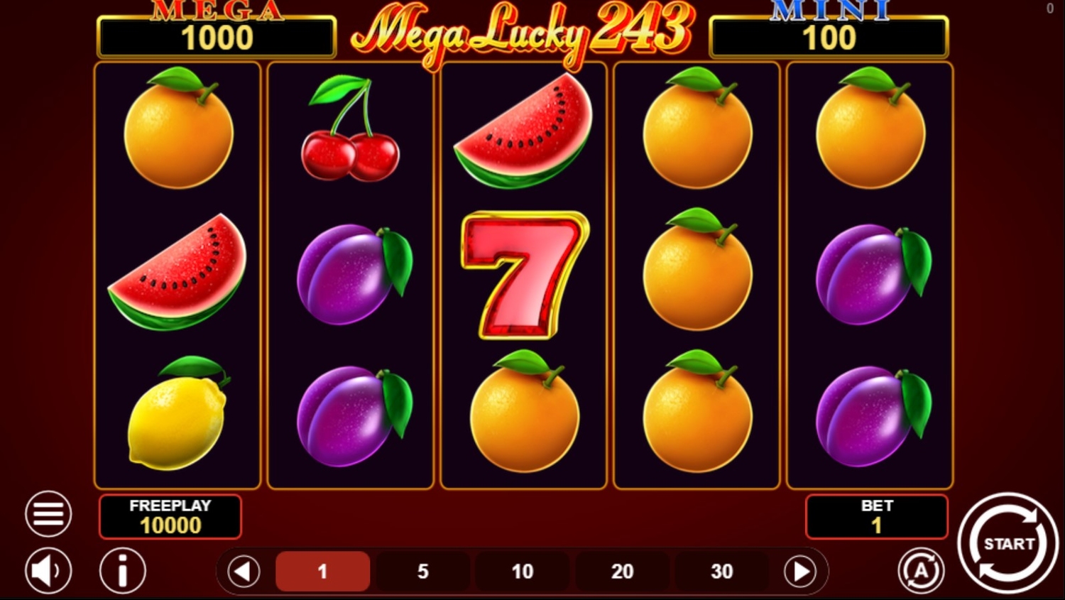 Mega Lucky 243 Gameplay Image