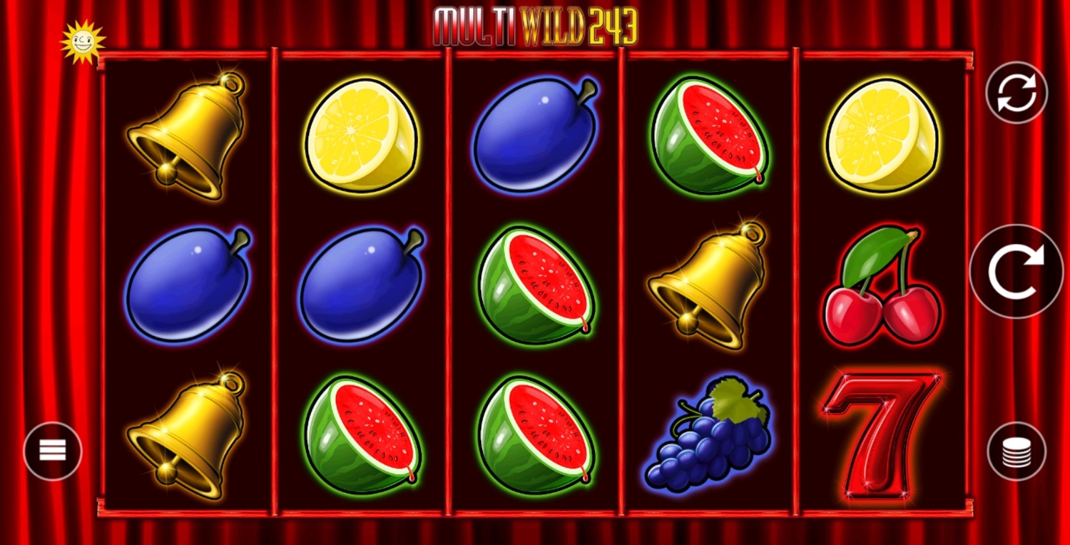 Multi Wild 243 Gameplay Image