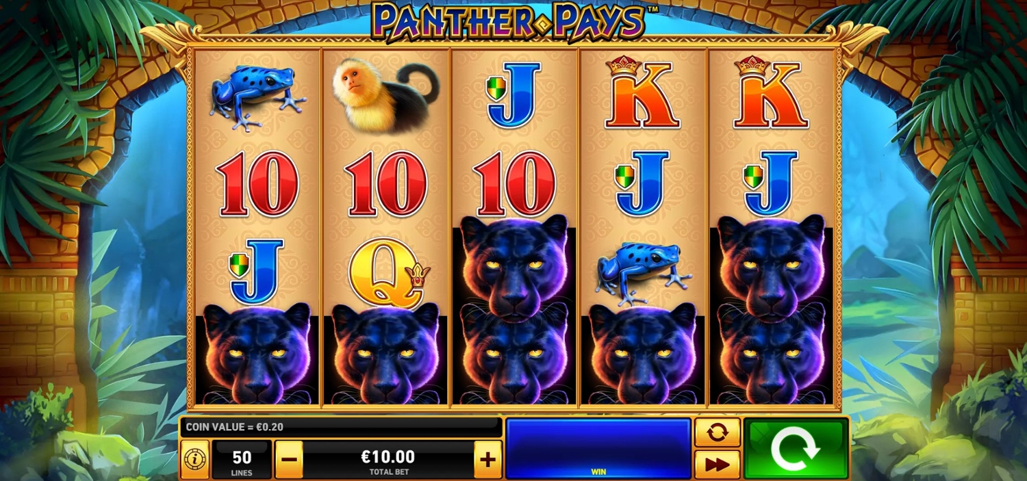 Panther Pays Gameplay Image