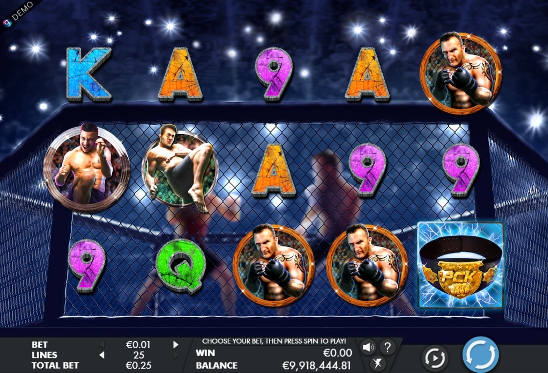 Primetime Combat Kings Gameplay Image