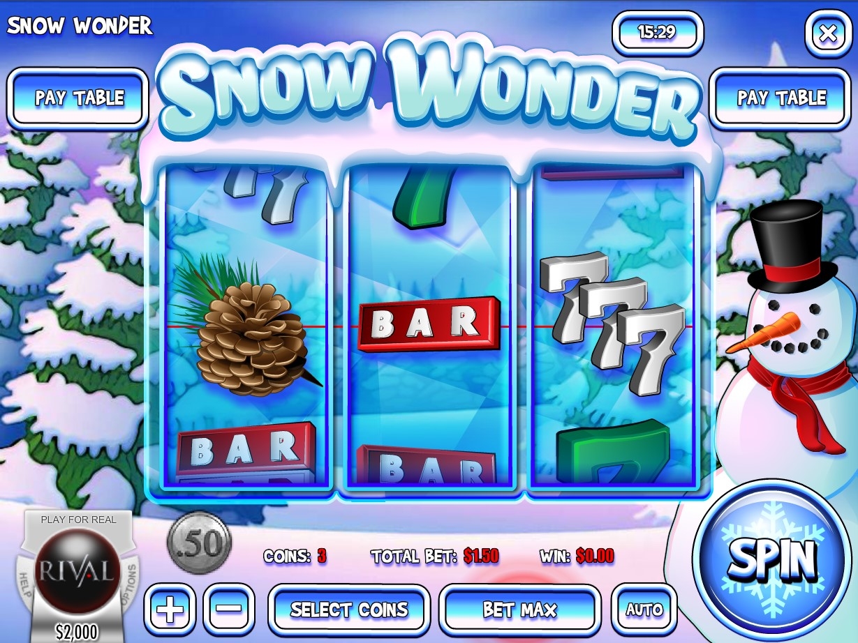 Snow Wonder Gameplay Image