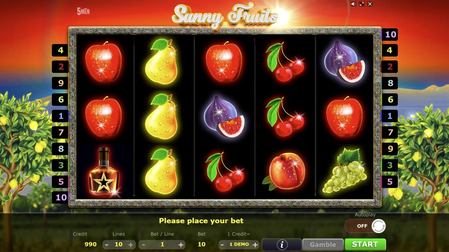 Sunny Fruits Gameplay Image