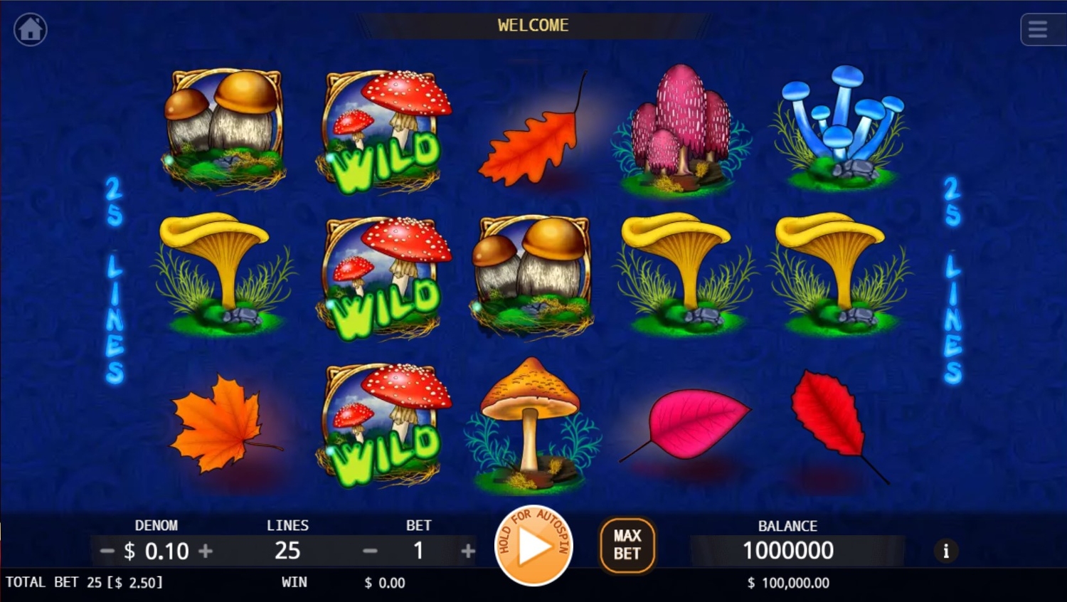 Trippy Mushrooms Gameplay Image