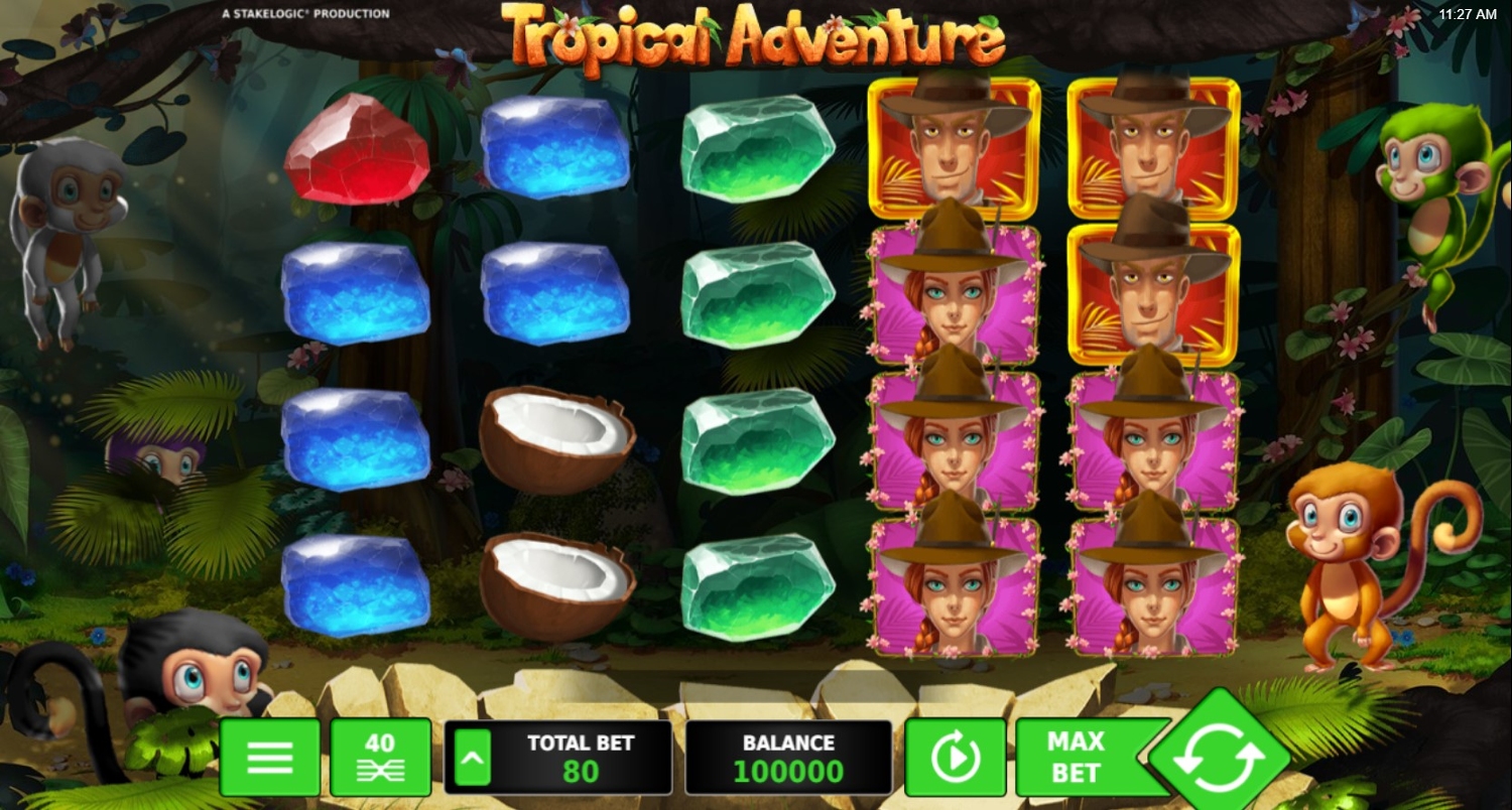 Tropical Adventure Gameplay Image