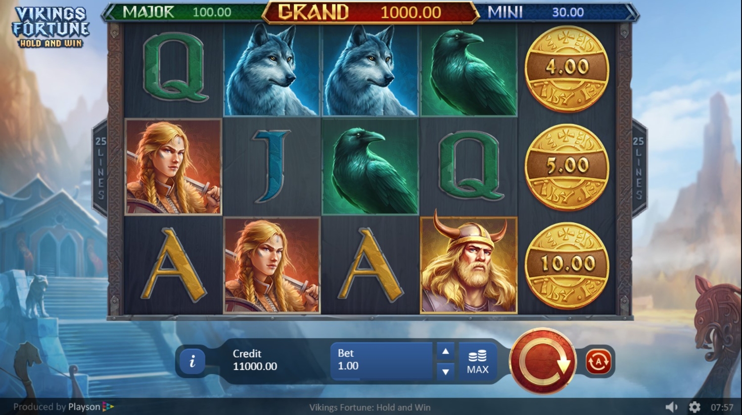 Vikings Fortune Gameplay Image