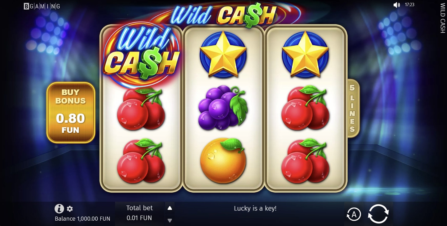 Wild Cash Gameplay Image