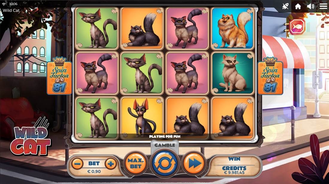 Wild Cat Gameplay Image