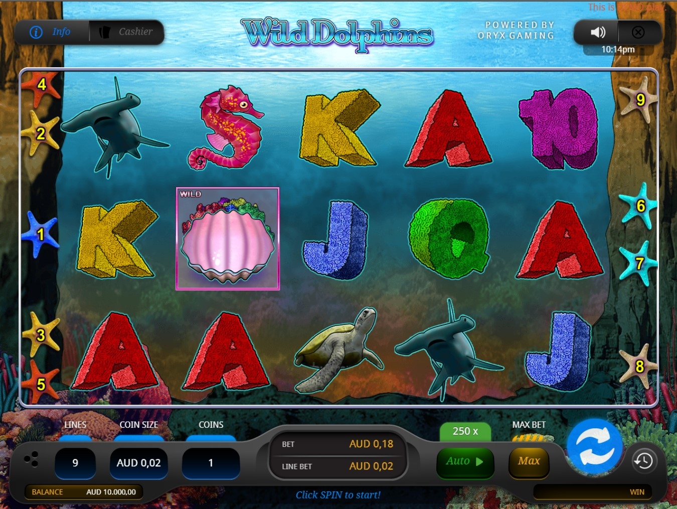 Wild Dolphins Gameplay Image