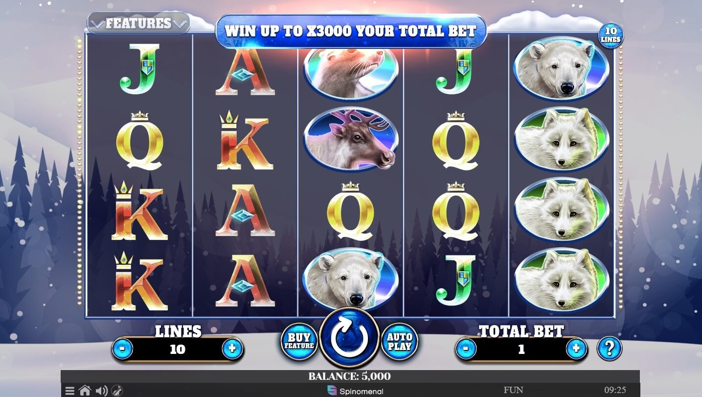 Wild Penguin Gameplay Image