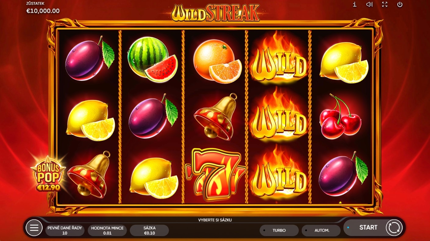 Wild Streak Gameplay Image
