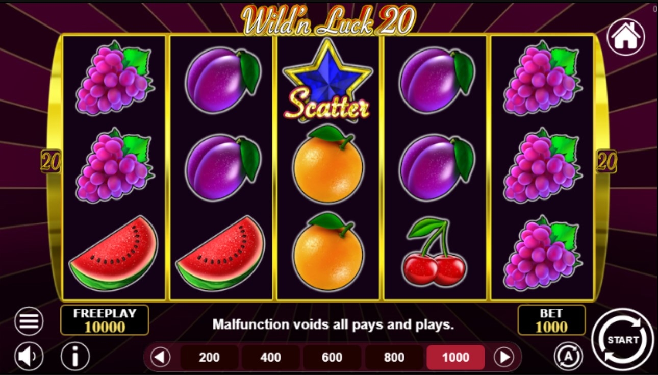 Wild’n Luck 20 Gameplay Image